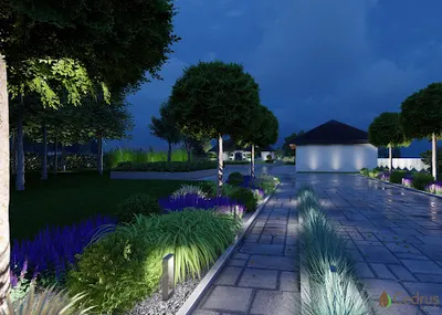 Cedrus | Projektowanie Ogrodów • Budowa • Zakładanie i Urządzanie Ogrodów Poznań